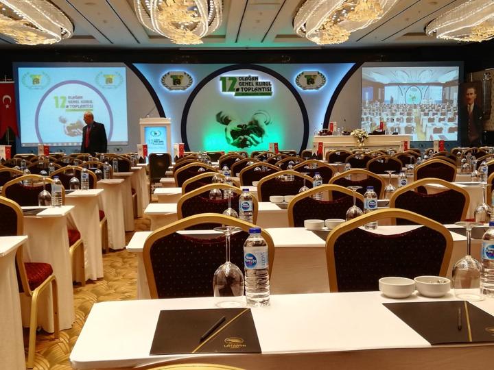 General Assembly: Stage set · Hall layout